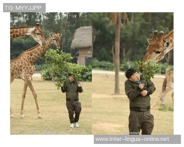 偶遇足球明星的奇妙瞬间如何用文字记录与分享 偶遇足球明星的奇妙瞬间如何用文字记录与分享