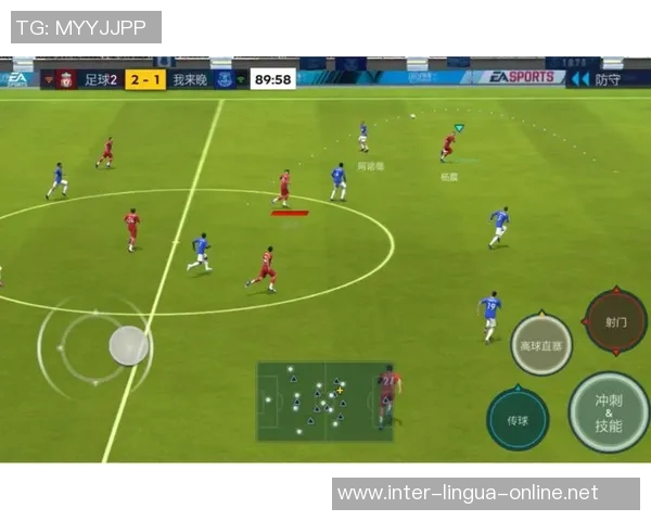 成都排球队防守反击战术分析与表现评估 成都排球队防守反击战术分析与表现评估