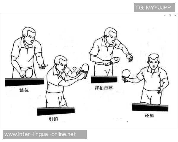 杭州乒乓球队快攻打法深度解析与战术应用探讨