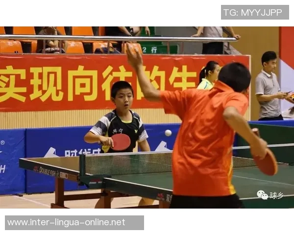 深圳乒乓球队在联赛中的意识表现分析与总结