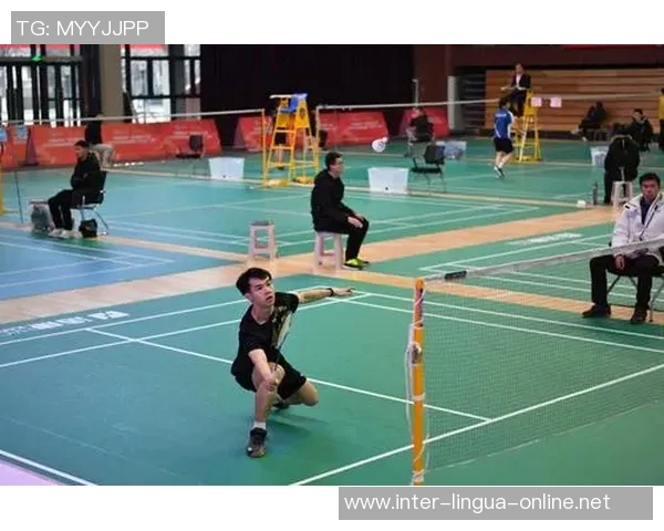 西安羽毛球队在锦标赛中的战术分析与表现评估 西安羽毛球队在锦标赛中的战术分析与表现评估