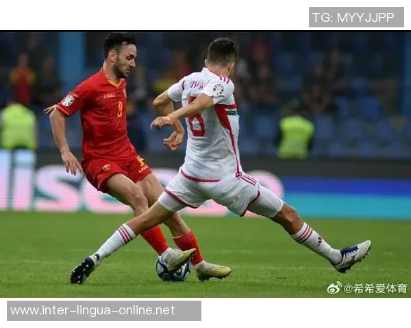 黑山足球明星球员的辉煌历程与成就解析 黑山足球明星球员的辉煌历程与成就解析