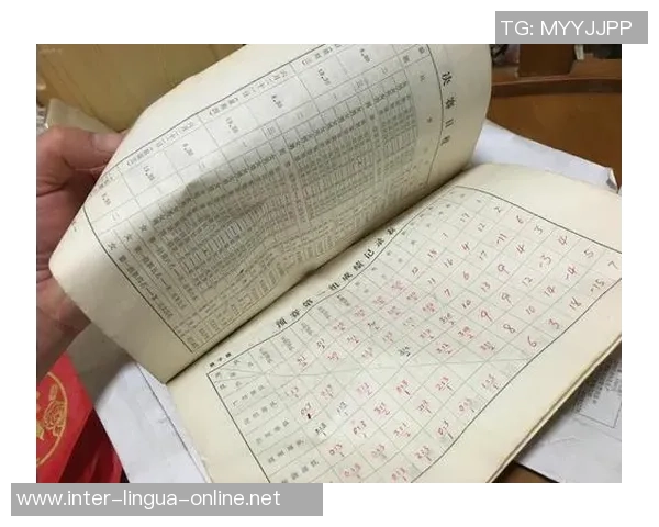 排球战术：武汉排球队的整体压制体系