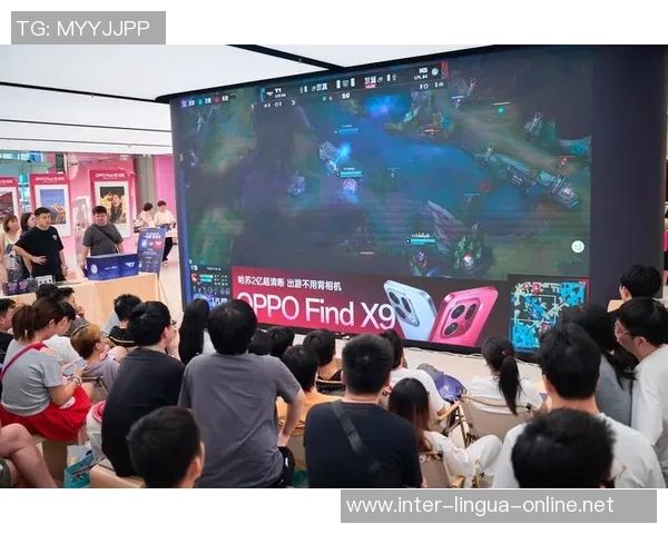 英雄联盟纪实：记录IG的逆袭之旅