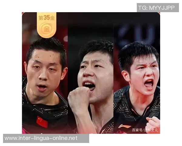 2026乒乓球节奏排名：成都乒乓球队创新高