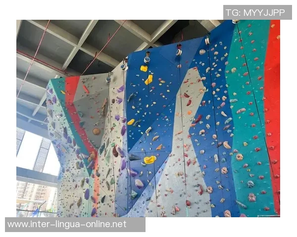 攀岩热点：解读杭州攀岩队的快攻