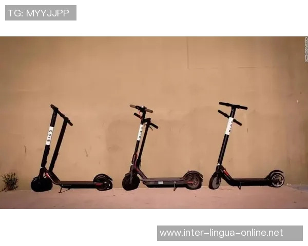 数据分析：西安滑板队的力量表现