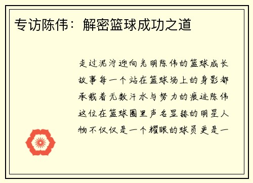 专访陈伟：解密篮球成功之道